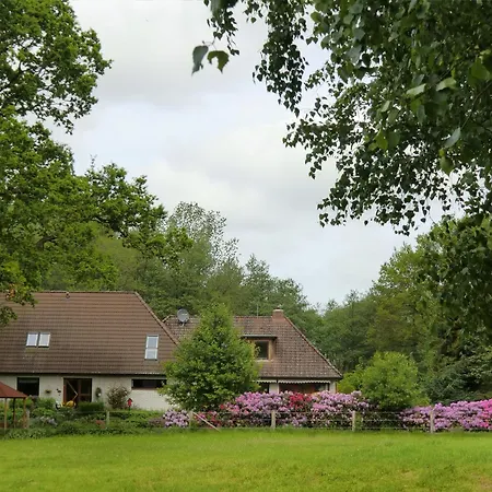 Apartment Birkenallee - Lavendel