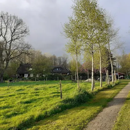 Birkenallee - Lavendel Apartment