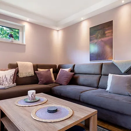 Birkenallee - Lavendel *