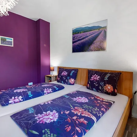 Birkenallee - Lavendel Deinste